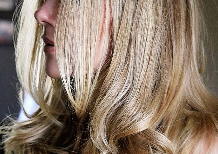 Brigitte Bardot haja